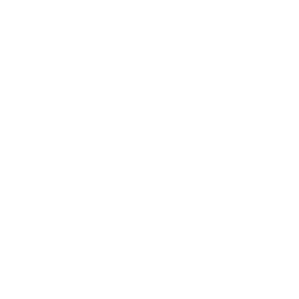 HOANGHA CONS